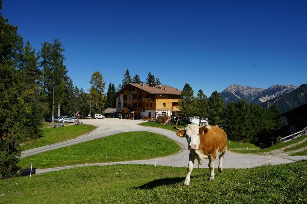 Pension Frapes San Martino in Badia Extérieur photo