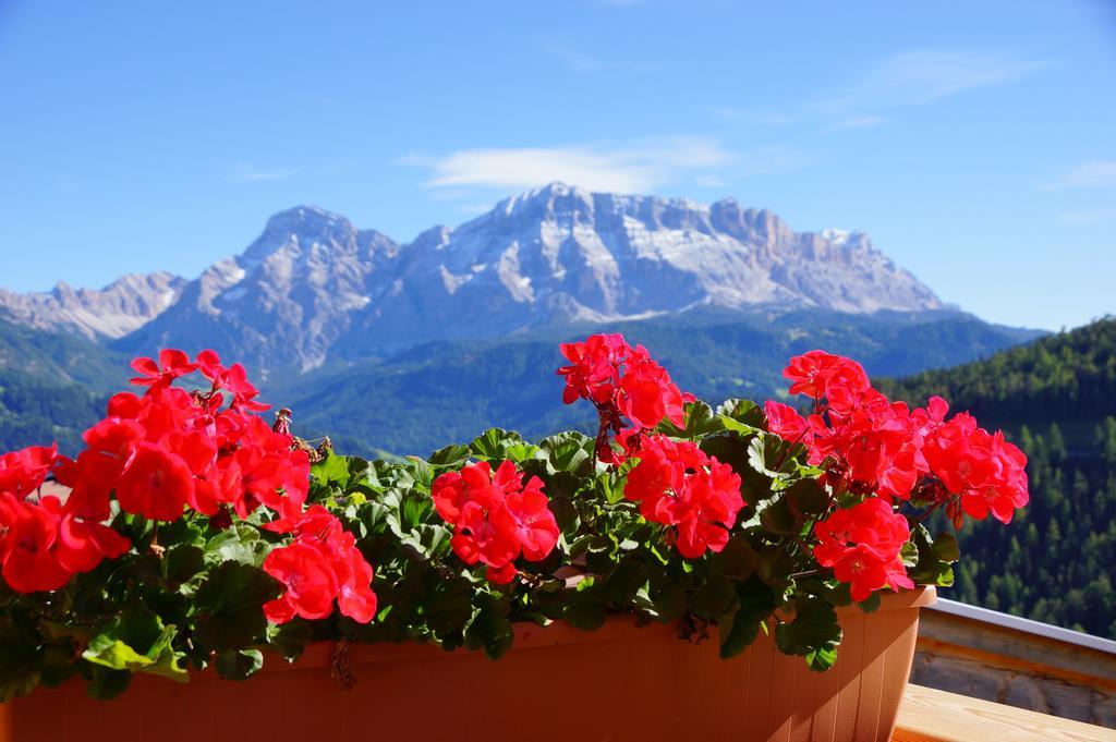 Pension Frapes San Martino in Badia Extérieur photo